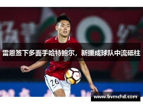 雷恩签下多面手哈特鲍尔，新援成球队中流砥柱