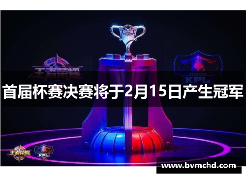 首届杯赛决赛将于2月15日产生冠军