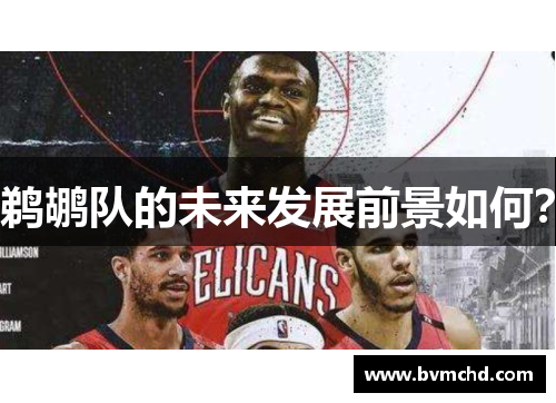 鹈鹕队的未来发展前景如何？